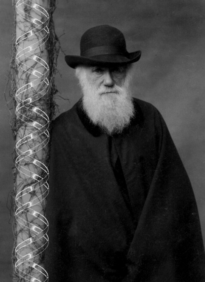 DarwinPosterImage3.jpg