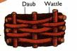 daub.jpg